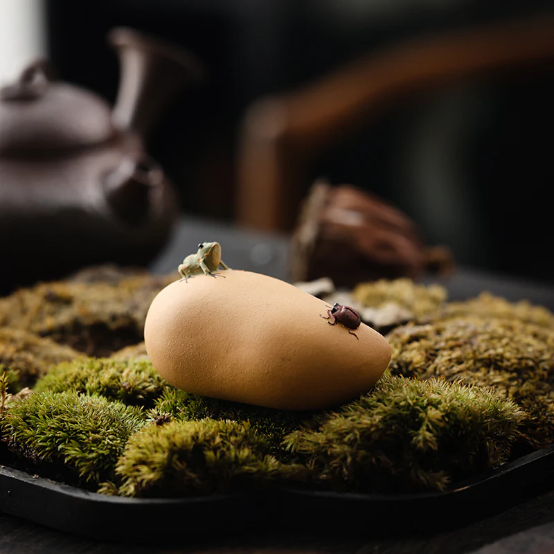 Spitting Frog Tea Pet - Image 5